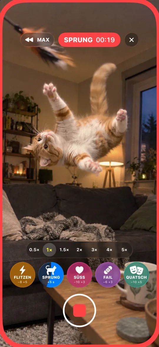 Eine Katze mitten im Sprung im Wohnzimmer, der Ereignis-Button zählt herunter